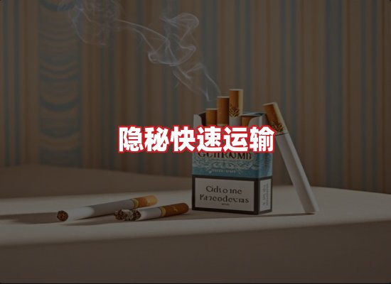 专业团队